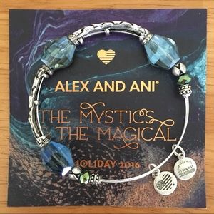 ❌SOLD❌ Alex and Ani Enchanted Arctic Bangle